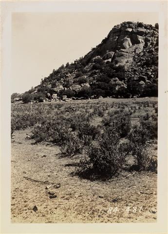 (U.S. DEPARTMENT OF AGRICULTURE--SOIL CONSERVATION) Album with approximately 112 photographs documenting the various species of range